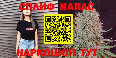 сатива Канаш