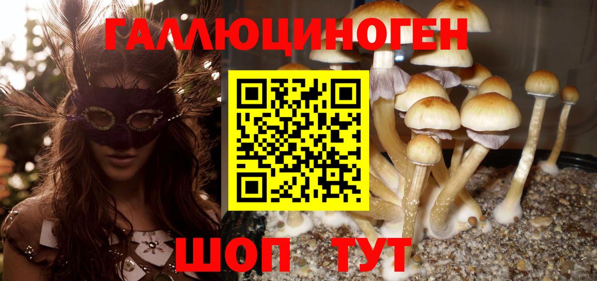 Галлюциногенные грибы Magic Shrooms  Вход с VPN  Галлюциногенные грибы GOLDEN TEACHER  Кудрово 